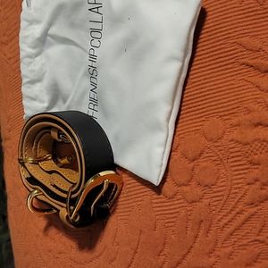 Classic Pup Jet Black Friendship Collar